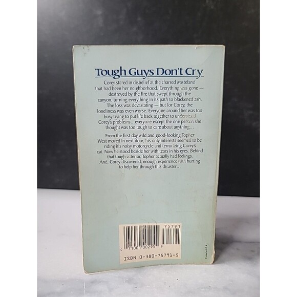 Corey's Fire By Lee Wardlaw Paperback - Picture 9 of 10